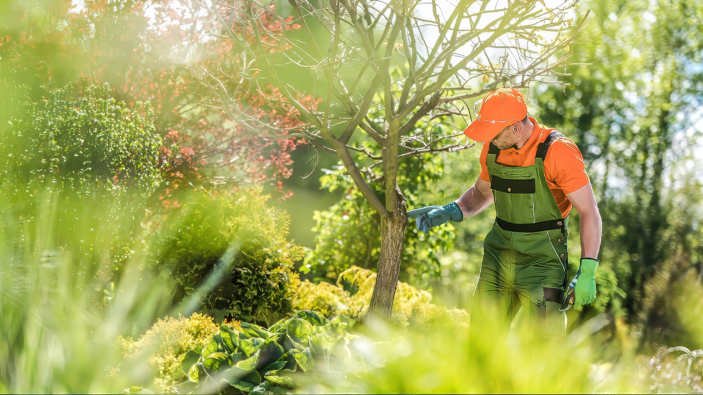 Tree Services - Ultimate Innovations - Honolulu, HI
