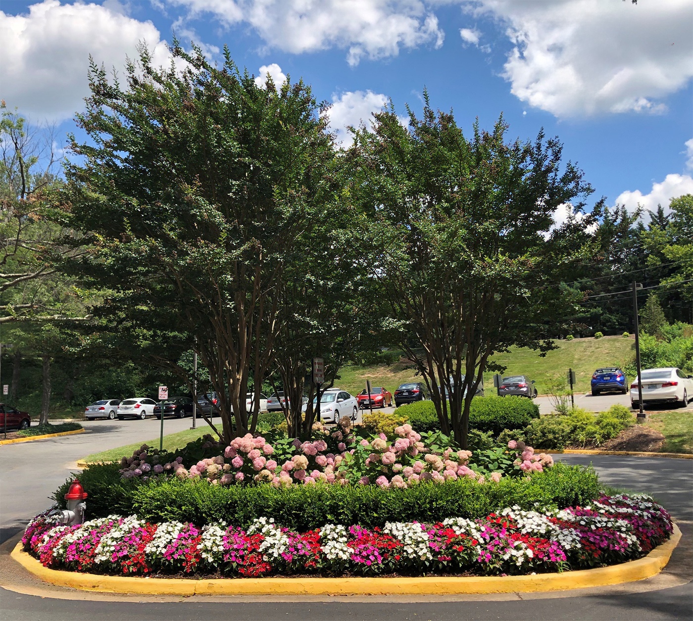 Commercial Landscape Management - Community Landscape Services - Sterling, VA