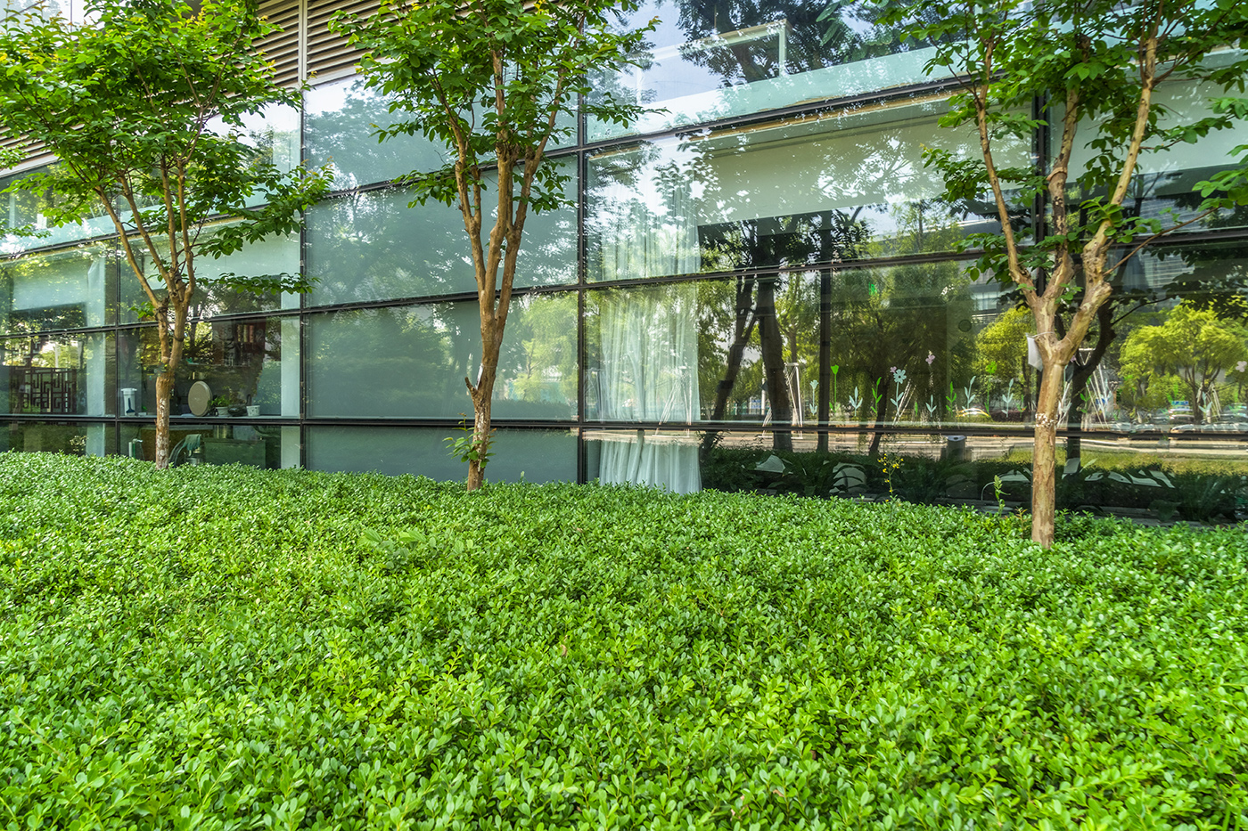 Creating Outdoor Spaces - Community Landscape Services - D.C. Metro Area