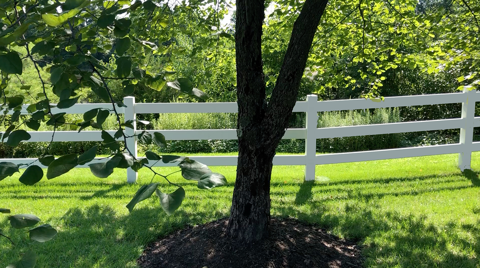 Tree Service - Fencing - Community Landscape Services - Sterling, VA
